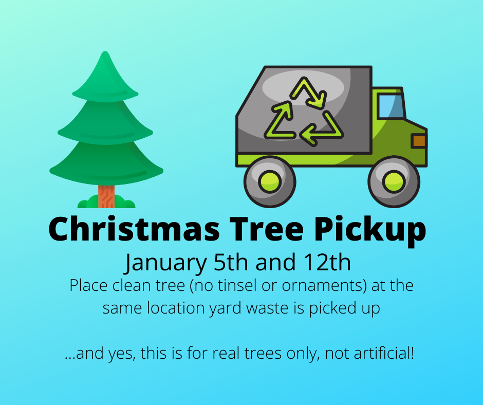 Live Christmas Tree Recycling Urbana Highlands HOA